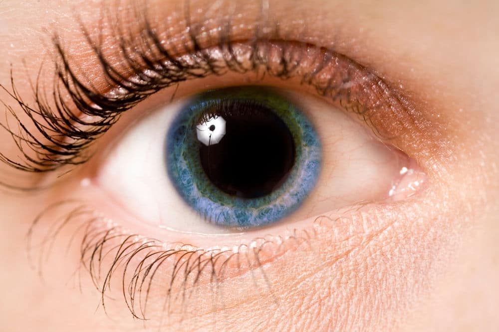 what drugs cause dilated pupils